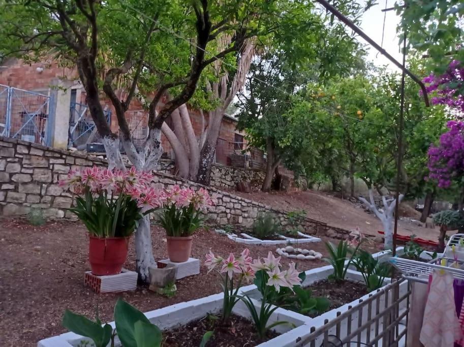 Villa Lidi Stavros  Ngoại thất bức ảnh