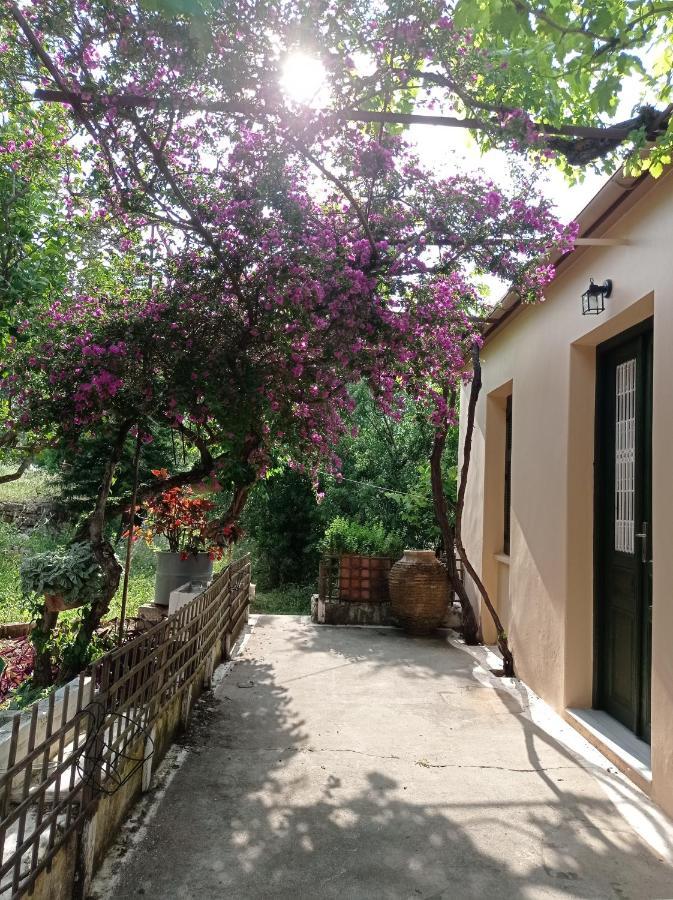 Villa Lidi Stavros  Ngoại thất bức ảnh