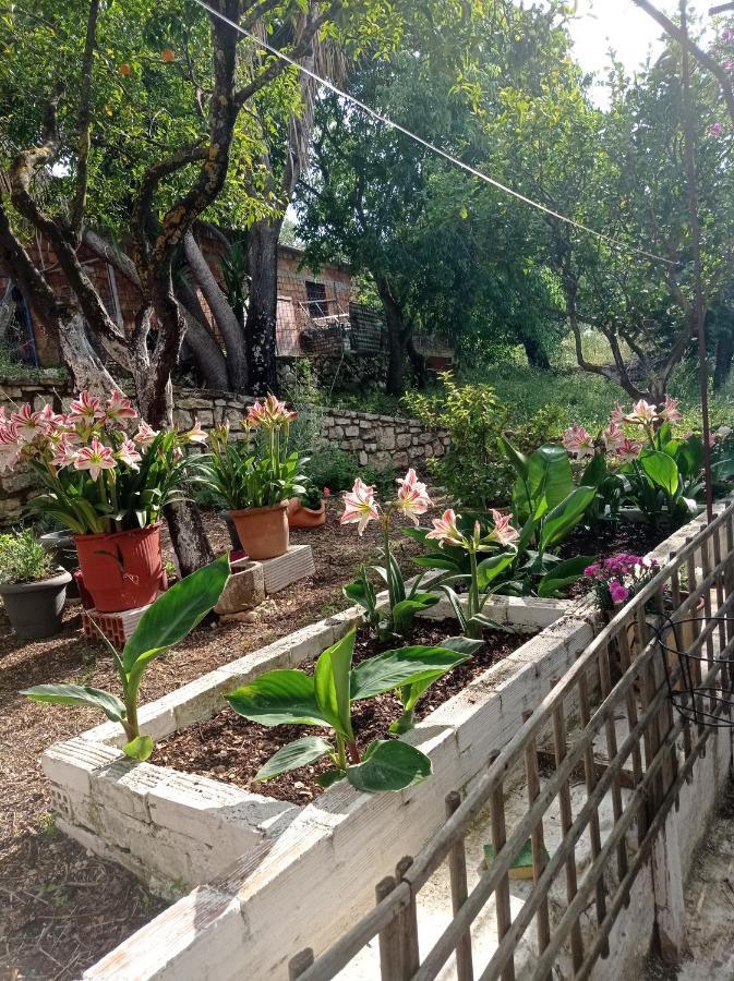 Villa Lidi Stavros  Ngoại thất bức ảnh